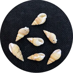 Petits coquillages en spirale naturels percés pour la création de bijoux DIY