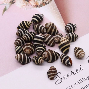 Vista macro di perline in conchiglia naturale striata per creazione gioielli DIY