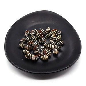 Perline di conchiglia a strisce zebrate 10x15mm su vassoio nero per gioielli fai da te