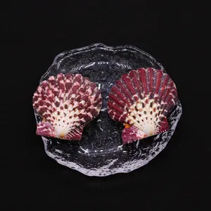 Detail of red and white natural fan shells on a textured glass tray over black background