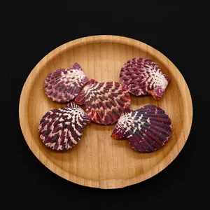 Detail of five dark red natural scallop shells with radial stripes on a wooden tray