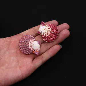 Close-up of two natural dark red fan-shaped seashells held in hand for size reference
