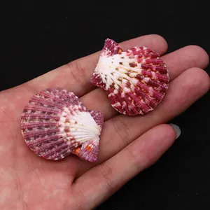 Natural deep red scallop shell pendants for DIY jewelry and crafts, hand-held size show