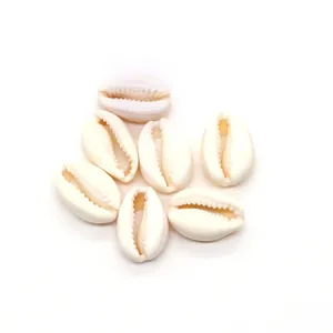 Dettaglio macro di conchiglie naturali per la creazione di collane e gioielli DIY