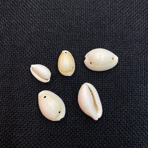 Macro shot of five natural cream seashells with pre-drilled holes for DIY jewelry making