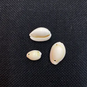 Macro detail of natural cowrie shells with pre-drilled holes for DIY jewelry making