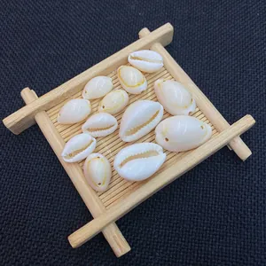 Natural cowrie shell beads for DIY jewelry making on a bamboo tray with dark background