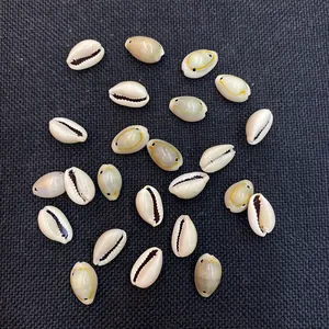 Makroaufnahme von natürlichen Muscheln mit Doppellöchern für DIY-Schmuck und Ketten