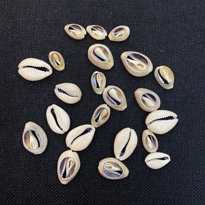 Polished natural conch shell slices with sliced bottom for DIY jewelry making