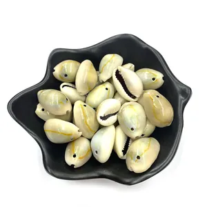 Natürliche Seemuschelperlen mit gelben Ringmustern in schwarzer Schale für DIY Schmuckstück
