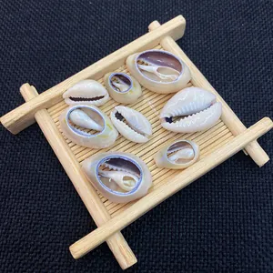 Natural cowrie shell slices and whole shells for DIY necklace on bamboo mat