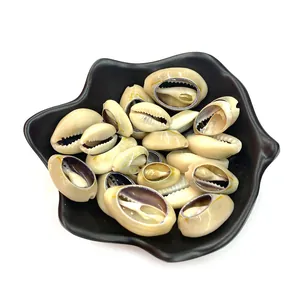 Natural cowrie shell beads for DIY jewelry in a black ceramic bowl on white background