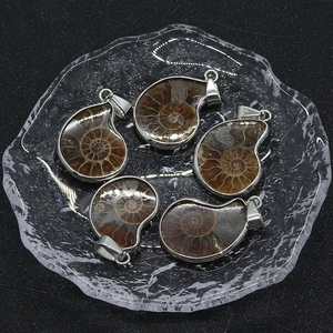 Detailed view of five spiral ammonite fossil pendants with silver-plated metal edges