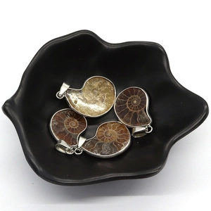 Four natural snail-shaped ammonite fossil pendants with silver-plated edges and metal loops