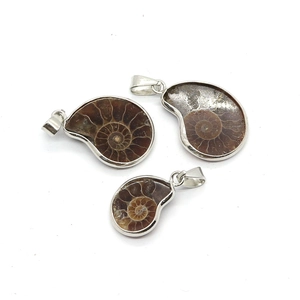 Three natural fossil snail pendants with silver-plated edges and spiral stone structure