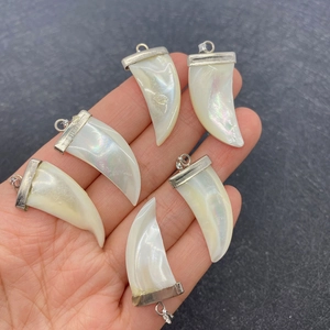Lot de six pendentifs en forme de dent en coquillage naturel avec bords métalliques dorés