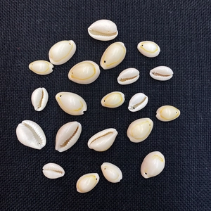 Macro detail of natural cowrie shells with drilled holes for DIY jewelry making and crafts