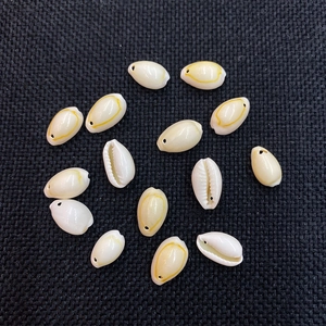 Macro detail of natural cowrie shells with polished yellow rings and pre-drilled holes