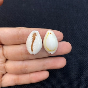 Natural cowrie shells with pre-drilled holes for DIY jewelry making and necklaces