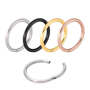 Anneaux de piercing en acier titane polis en argent, noir, or et or rose pour oreilles