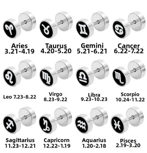 Collezione di dodici orecchini a lobo zodiacali in acciaio inossidabile lucido