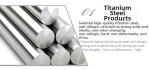 Macrodetail van gepolijste hypoallergene titanium stalen studs met spiegelglans