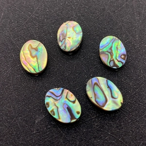 Macro shot of five natural oval abalone shells showing colorful iridescent luster