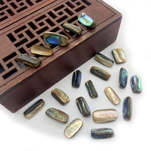 Polished rectangular abalone shell beads with colorful iridescent luster on wood