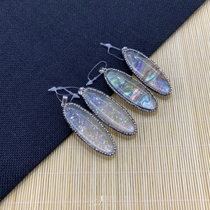 Ovale Anhänger aus Abalone-Muschel mit Strassrand und silbernem Verschluss an Kordeln