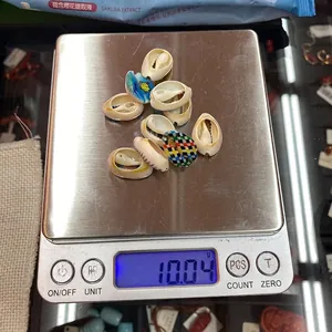 Detailed top view of natural printed shells on electronic scale weighing 10.04 grams