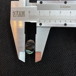 Macro shot of oval abalone shell bead showing rainbow luster with caliper measurement