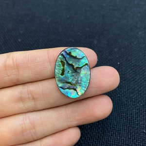 Natural oval abalone shell cabochon with colorful luster held by hand, 10x14mm