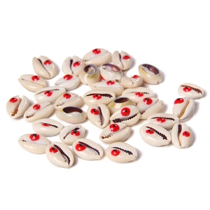 Macro shot of natural cowrie shells with red eye pattern for DIY jewelry crafts