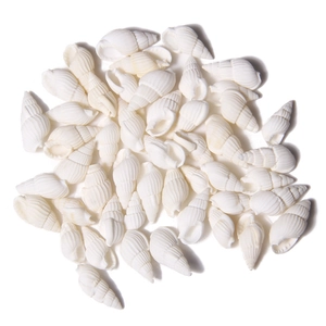 Natural white spiral seashell pendants with gold plated edges for DIY jewelry crafting