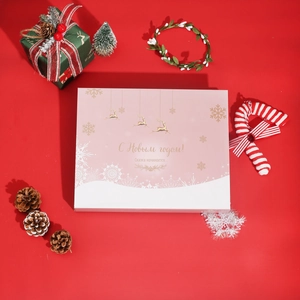 Pink Christmas advent calendar gift box with gold reindeer and festive ornaments