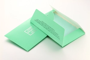 Silver polishing cloth set with mint green envelope and serrated edge cleaning fabric
