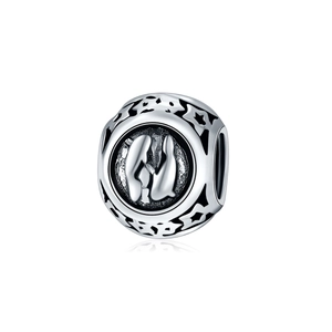 Macro detail of S925 silver dolphin charm with hollow star pattern for DIY jewelry
