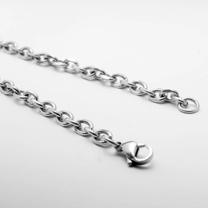 Dettaglio ravvicinato di una catena in acciaio inossidabile argento con chiusura a moschettone