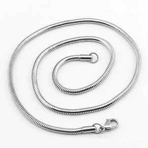Detail showing smooth silver snake chain with classic lobster clasp closure and metal luster