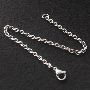 Gepolijste zilveren roestvrijstalen schakelarmband met karabijnsluiting voor dames en heren