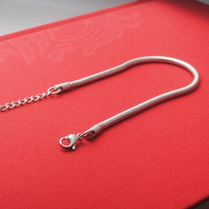 Bracelet chaîne serpent en acier inoxydable argenté pour femme avec fermoir mousqueton