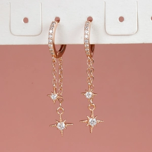 Elegante roségouden ster ketting oorbellen met zirkoon op een roze achtergrond