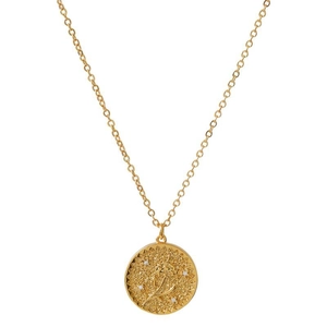 Gouden munt hanger ketting met bloem reliëf en witte zirkonia stenen op witte achtergrond