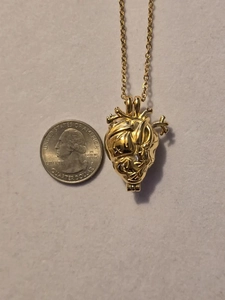 Vista macro della collana con cuore anatomico dorato e moneta per riferimento taglia