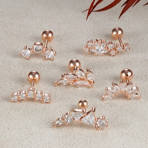 Ensemble de boucles d'oreilles en acier rose doré avec zircons étoile et feuille