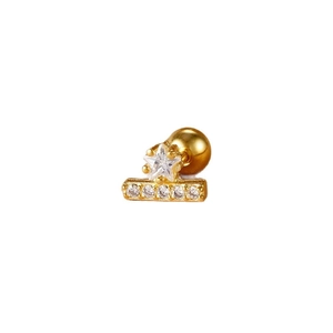 Goldener Edelstahl-Ohrstecker mit Stern und Zirkonia-Mikropflaster auf weißem Hintergrund
