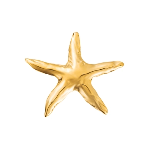 Vue macro d'une broche étoile de mer dorée avec texture métallique lisse et style marin