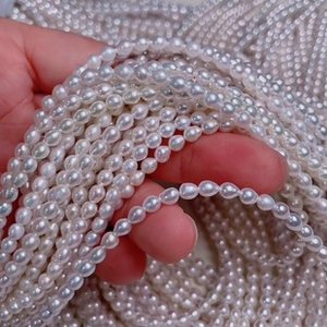 Macro shot of natural freshwater pearls with iridescent luster for jewelry making