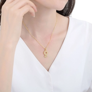 Detailweergave van een goudkleurige ketting met mannelijk symbool hanger en witte zirkonia