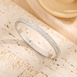Polished silver titanium steel bangle with double row micro-pave crystals for women